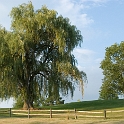 Scenery Montville Duchek 4379
